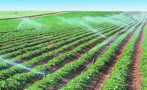 捆绑伪娘视频农田高 效节水灌溉